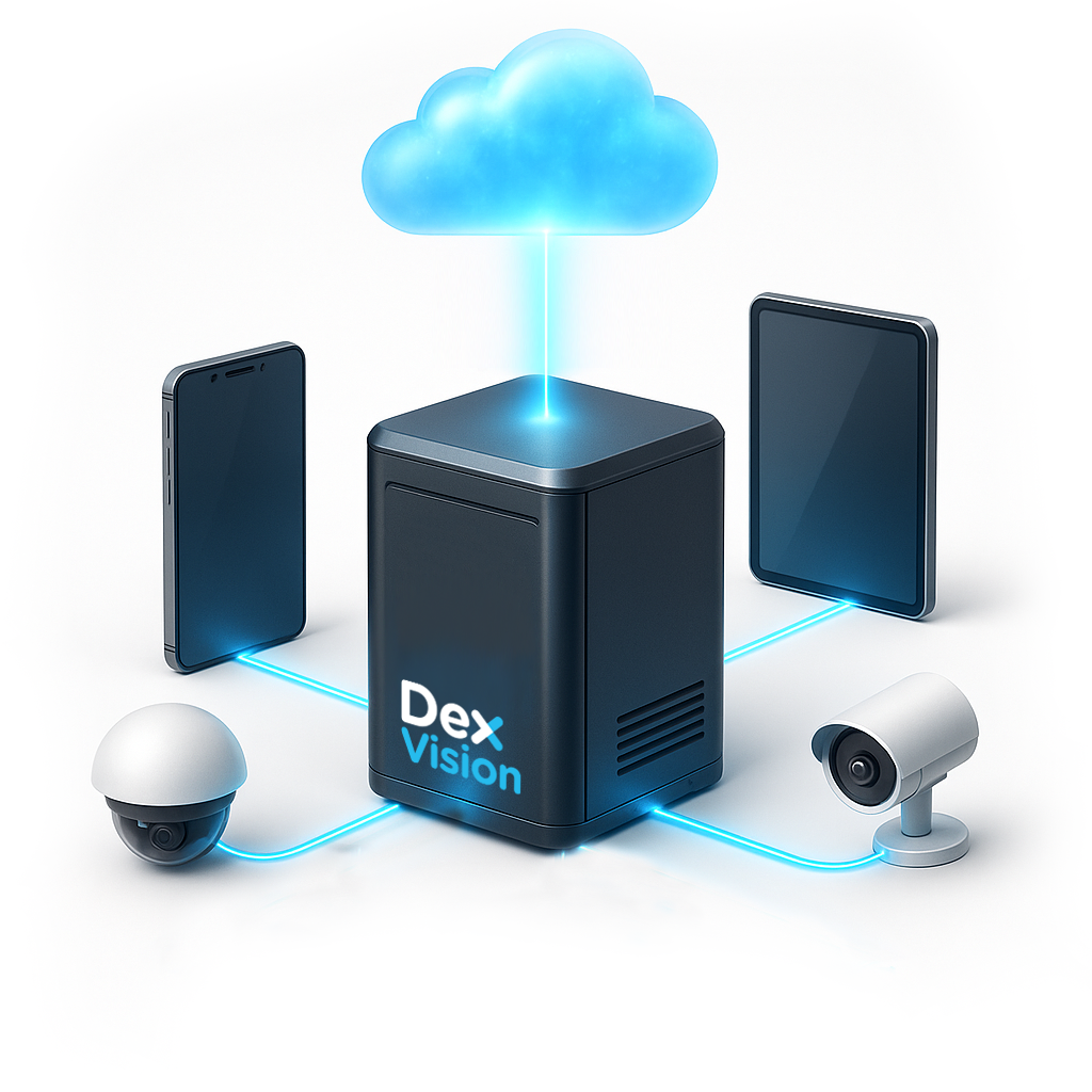 DEX Vision - Transforma lo que ves, en decisiones de negocio