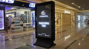 fall_cosmopol_04